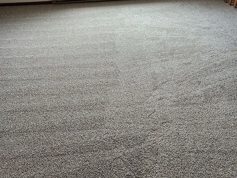 New Carpet in Upper Family Room / Flex Room