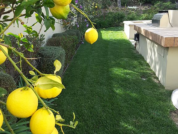 Side Garden 