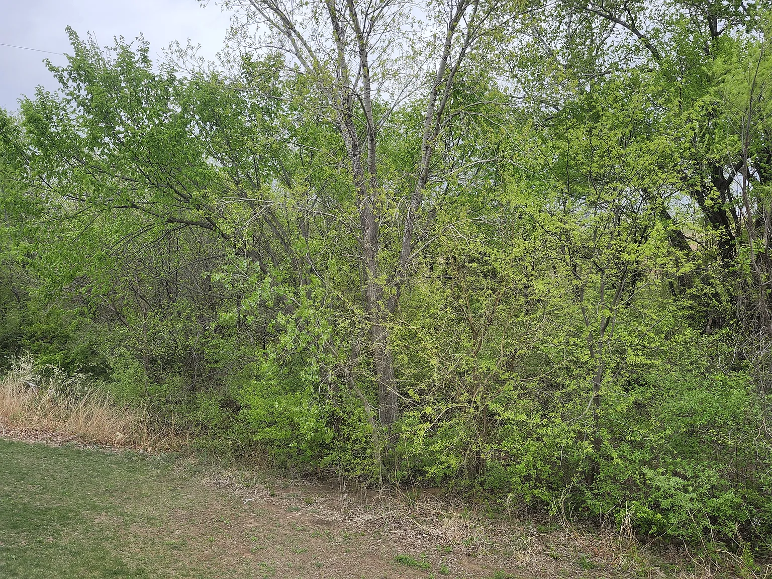 1723 N Newberry Ct — Photo 4