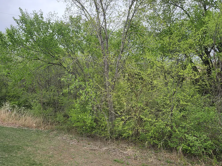 1723 N Newberry Ct — Photo 4
