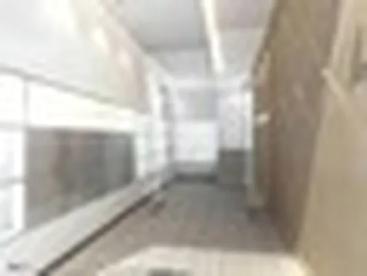 Rented by City View Living | media 73