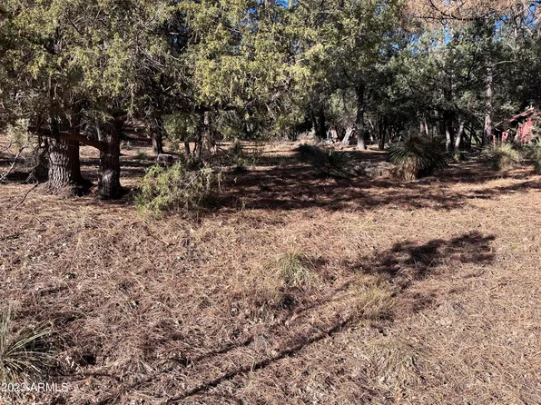 3422 N MEADOW Drive #85, Pine, AZ 85544