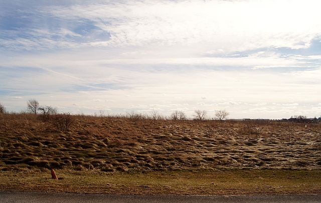 2nd image of 10832 Prairie Farm Rd