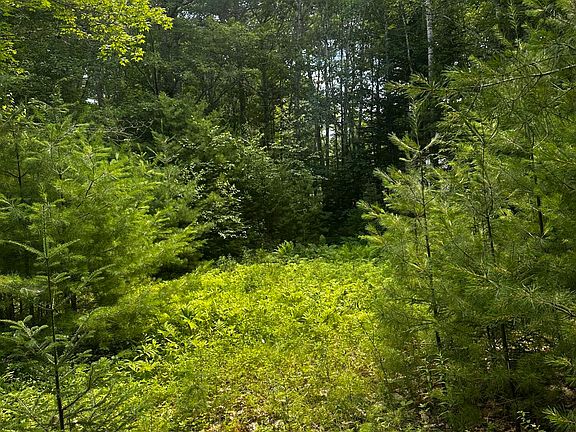 4th image of 25 Cottage Lane