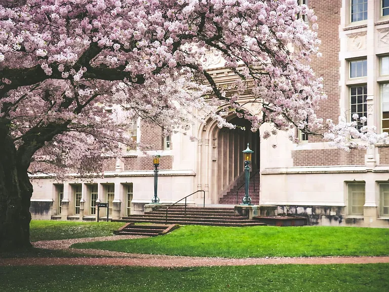 Ori on the Ave — Photo 44