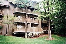 Rear Elevation