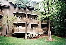 Rear Elevation