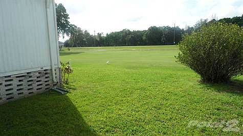 Backyard View