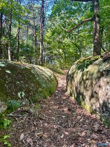 16/ACRE S Road 934, Mentone, AL, 35984
