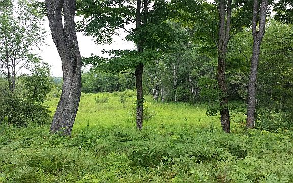 3rd image of 2012 Dorn Road