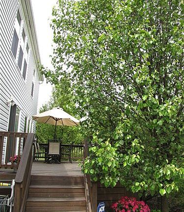 3rd image of 8725 Chesea Ct