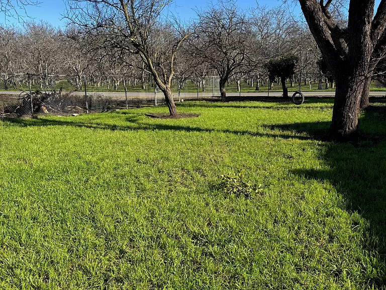 9151 Campbell Rd — Photo 67