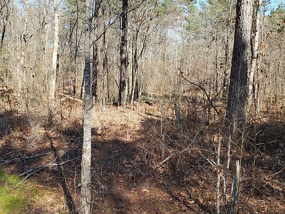 5th image of Polk Rd #197