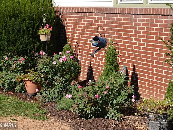 side garden