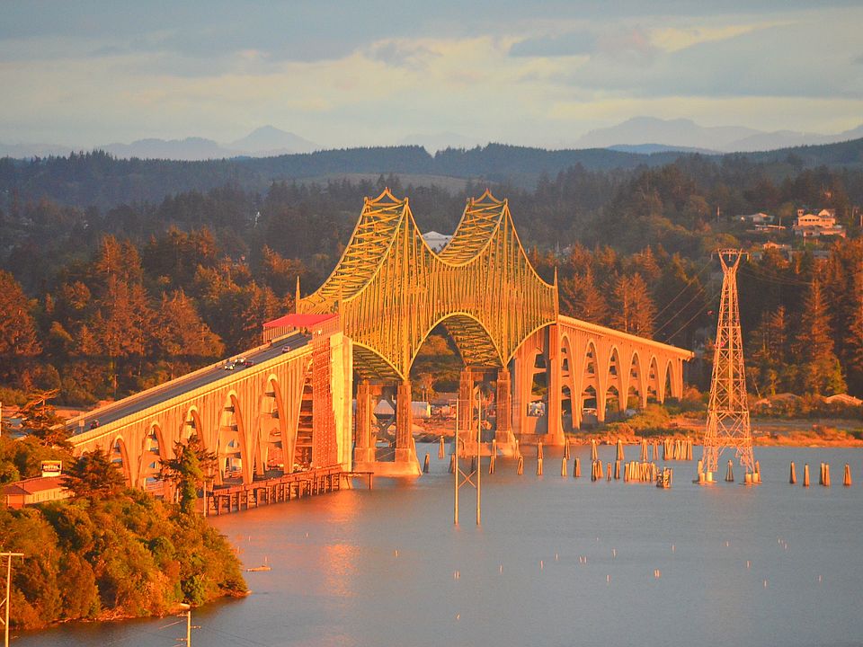 Bridge views