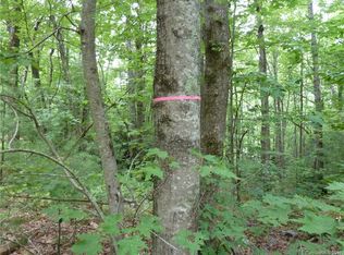 2 N Pointe Dr #2, Zirconia, NC 28790