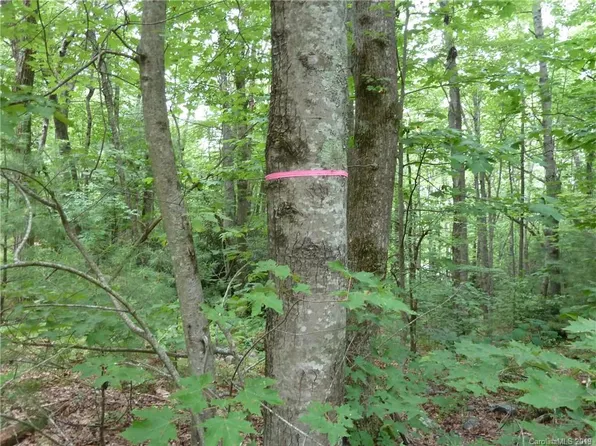 2 N Pointe Dr #2, Zirconia, NC 28790