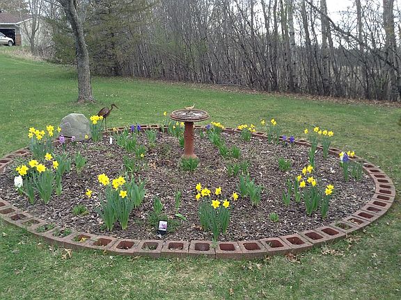 Perennial garden