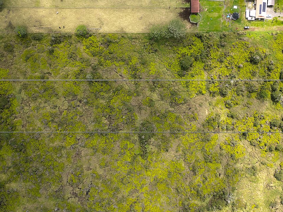 1st image of Road 9 Koloa Maoli Lot 5617