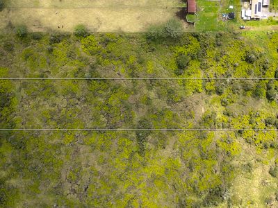 Road 9 Koloa Maoli Lot 5617, Kurtistown, HI, 96760