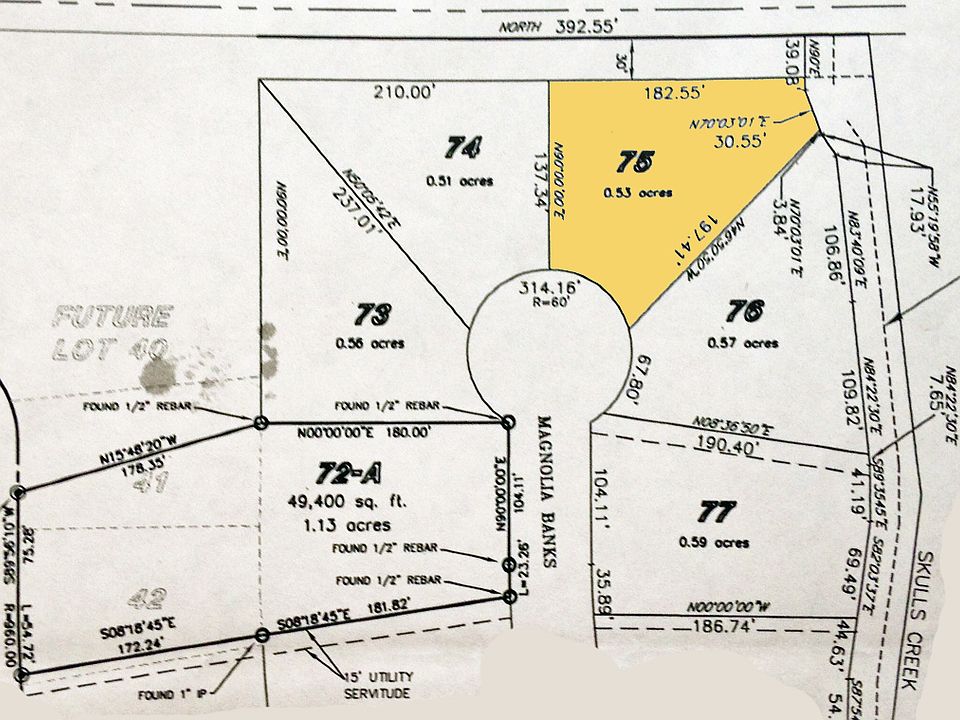 2nd image of Magnolia Banks #Lot 75