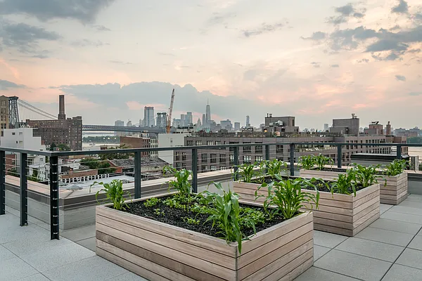 Rented by Lisa Management Inc | media 18