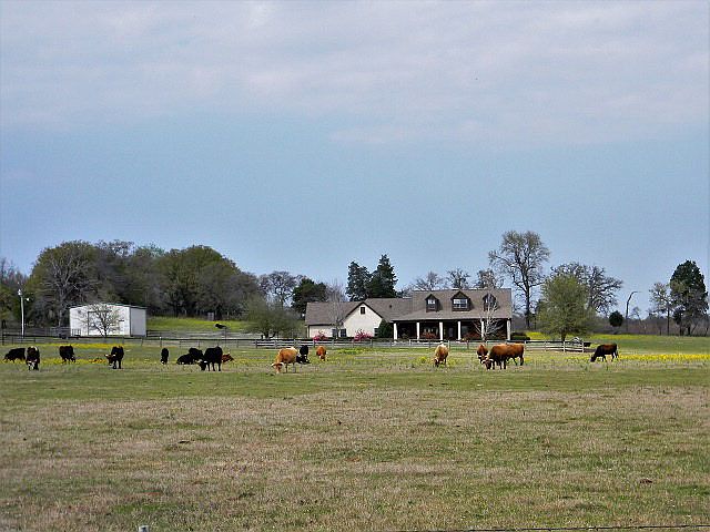 1st image of 2151 County Road 3821
