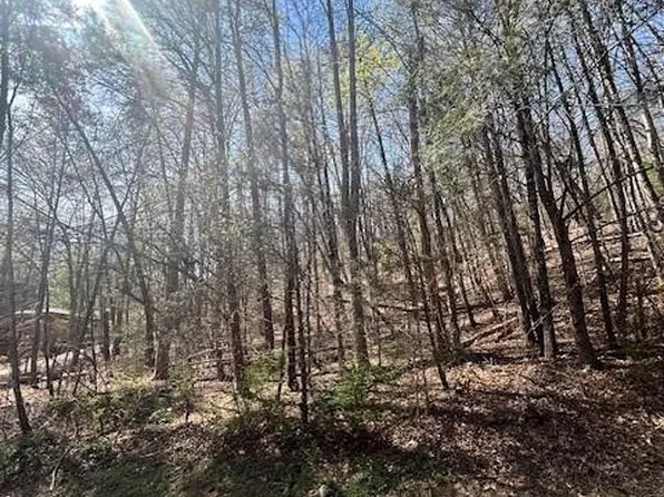 51 Fairway Dr Lot 51, Lake Lure, NC 28746