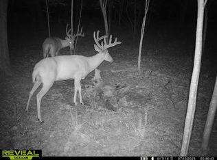 448 Candy Run, Lucasville, OH 45648