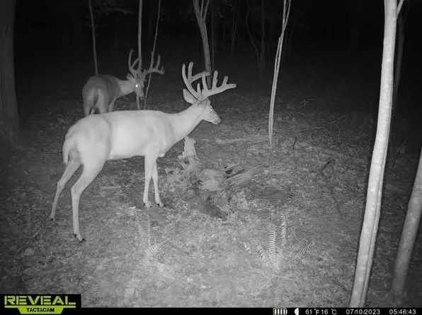 448 Candy Run, Lucasville, OH 45648