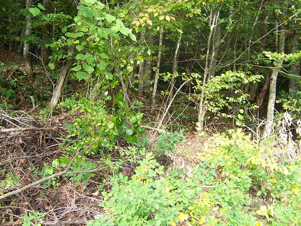 2nd image of Hundred Acre Woods Trail