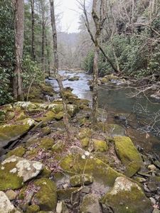 0 Savage Highland Dr LOT SW1F, Coalmont, TN, 37313