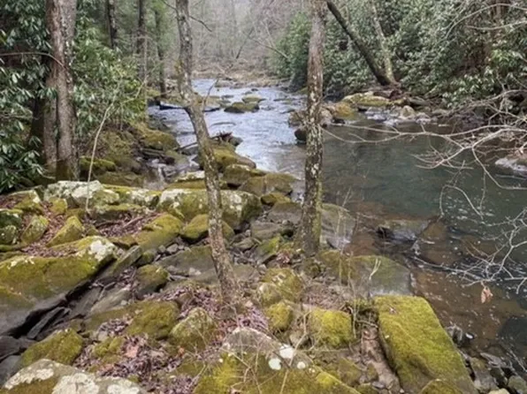 0 Savage Highland Dr Lot Sw1f, Coalmont, TN 37313