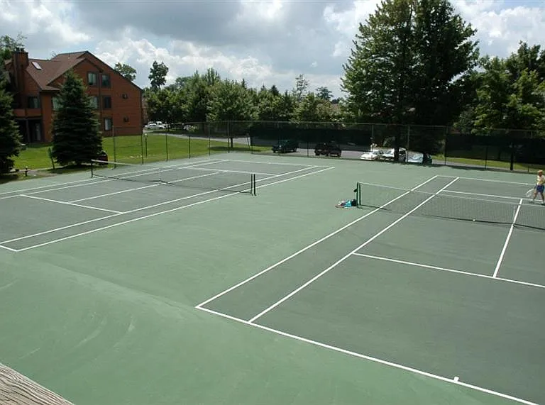 2404 Swiss Mountain Dr #2404 — Photo 21