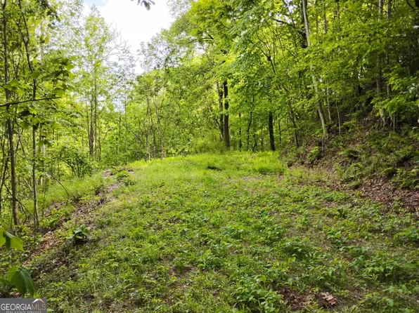 0 Highland Gap Rd #19, Scaly Mountain, NC 28775