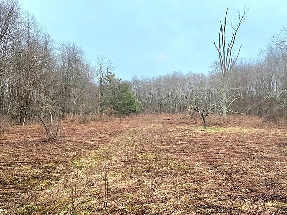 2nd image of 302 Burns Rd