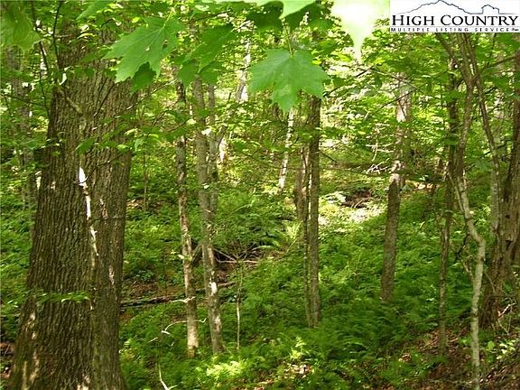 5th image of Pine Knoll Dr
