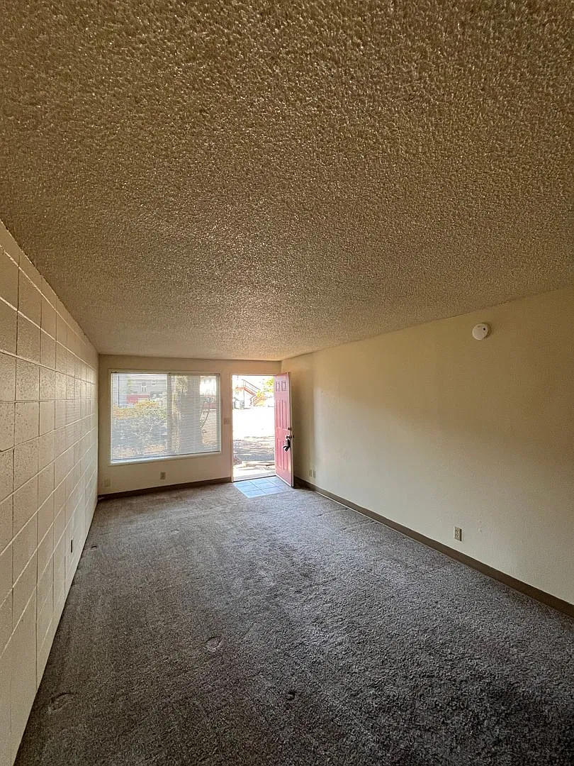 (CAM 8) ~ Spacious 1-bedroom Unit near Campus — Photo 3