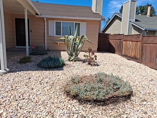 LOW MAINTENANCE FRONT YARD