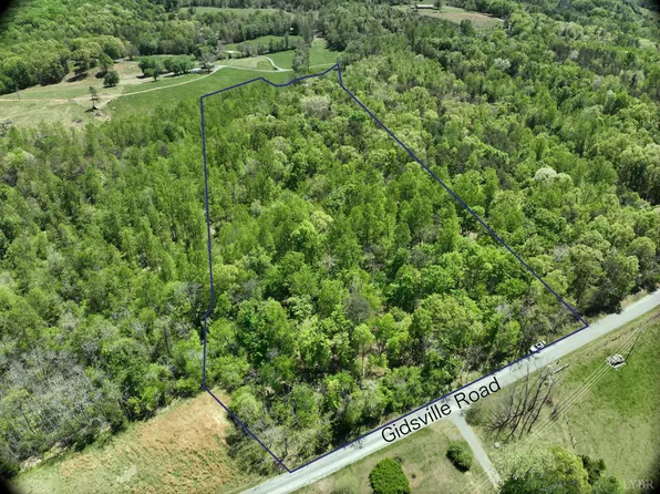 0 Gidsville Rd Lot 2A, Amherst, VA 24521