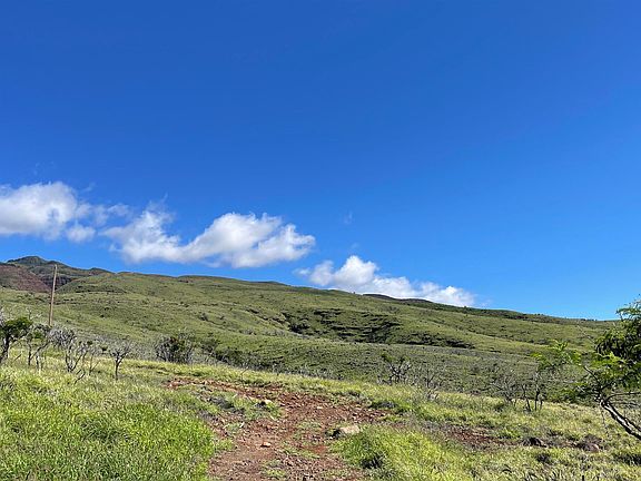 3rd image of Kamehameha V Hwy