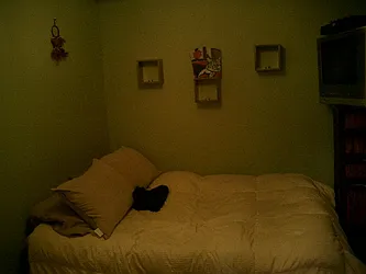 Rented by Helm Management