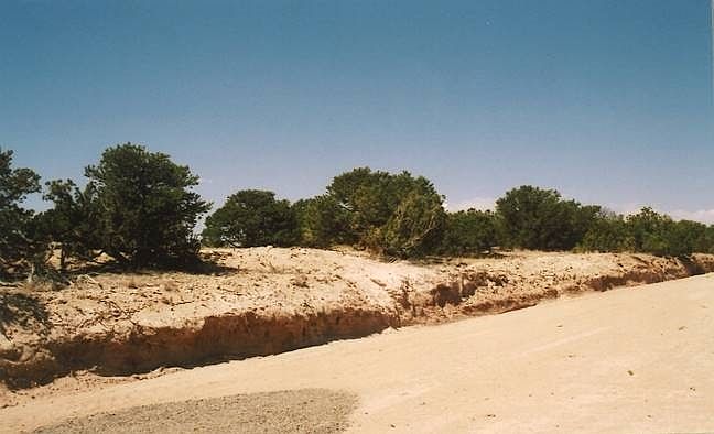 2nd image of 48 Barosa Rd
