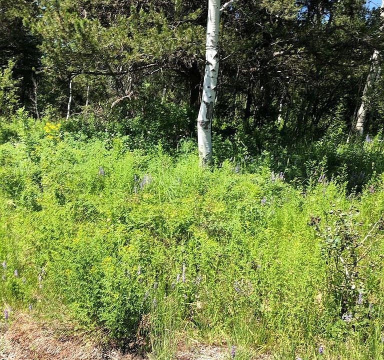 2nd image of 4383 Granite Rdg
