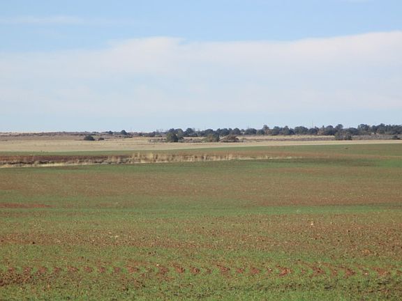2nd image of 3995 Road P ##3