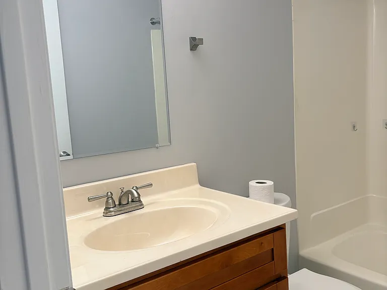 Hall bathroom