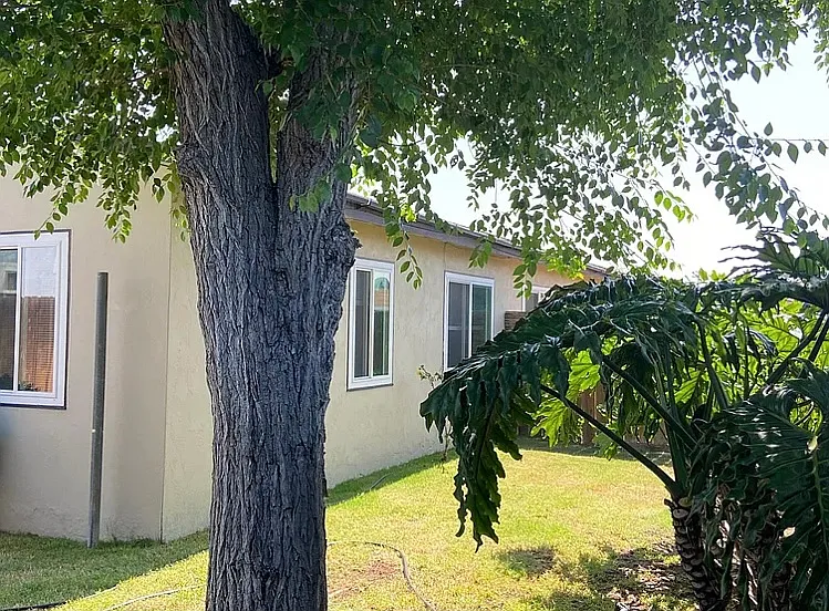 3193 Mandan Way — Photo 6