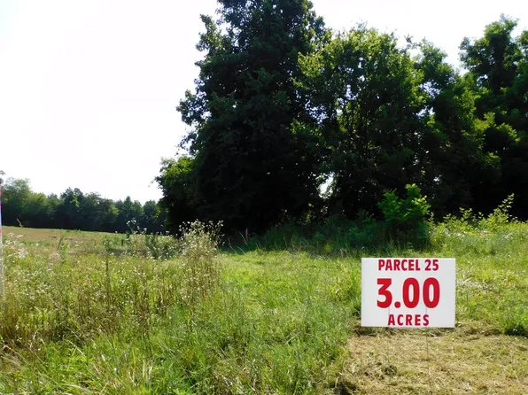 Lloyds Mill Rd, Clover, VA 24534