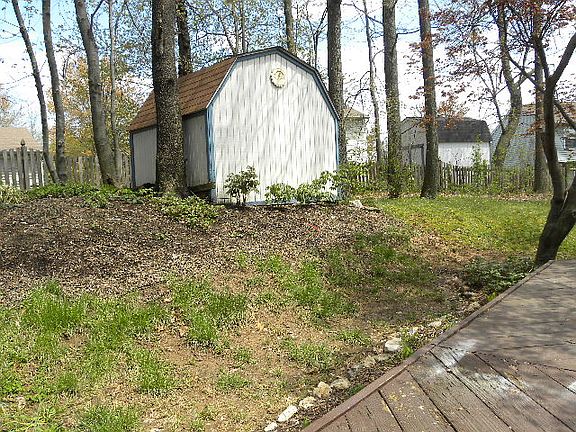 Wooded backyard