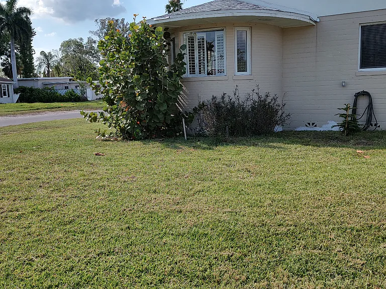 Exterior Side yard for 3601